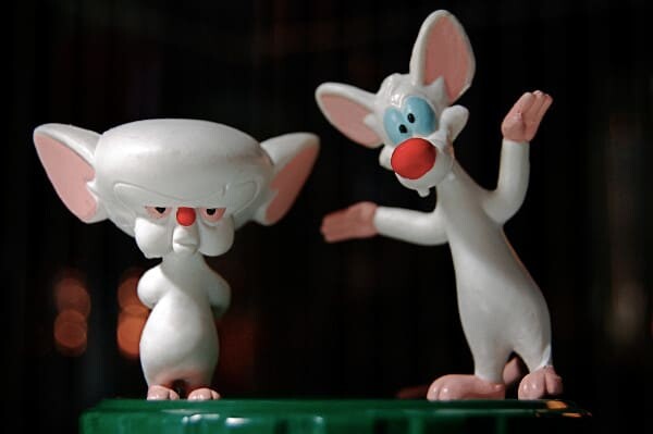 Pinky & the Brain