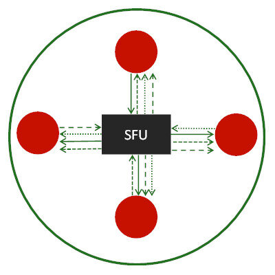 SFU Routing Topology