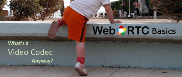 WebRTC Basics: Video Codec